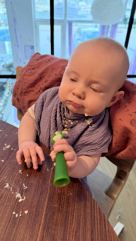 Madglad - en sanseorienteret tilgang til spisning